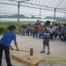 청수초교 이미지