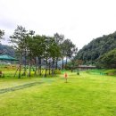 미로파크 이미지