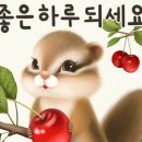 꽁냥이네드레스룸