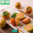 토마토라이브