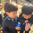 한라한의원 Daum카페