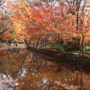 구월2동주민센터 이미지