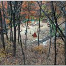 대운산자연휴양림 이미지