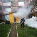 중국서 벌써 5000명 확진… 치료제 없는 ‘치쿤구니야열병’ 뭐길래 이미지