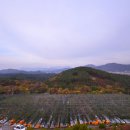 축령산 농장 이미지