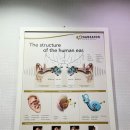 서면보청기 이미지