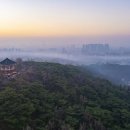 배산공원 이미지