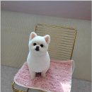 댕스살롱 이미지