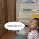 안추곤 | 아기전집 추천 가성비 좋은 유아전집 추천 블루래빗 언어발달 첫 놀잇감 21개월 후기