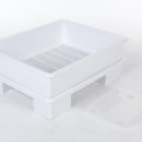 스마트캣 이미지