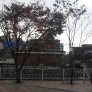 금광2동제2어린이집 이미지