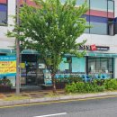 육대장별내점 이미지