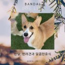 반달유치원 이미지