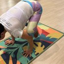 에벌루션(주) 이미지