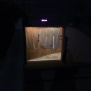 사파동165 | 창원카페 오누이북앤샵 / 위츠 weats