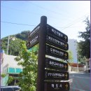 독도박물관 이미지