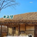 햇살로105번길 네이버블로그