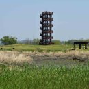 시흥 갯골생태공원 이미지