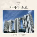 GS25 동해현대점 | 속초 여행 숙소는 여기어때 카시아속초호텔 2박 원베드룸스위트 트윈 룸정보 및 호텔정보