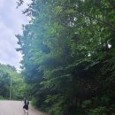 지리산 천년송 | 지리산천년송 다녀왔어요