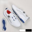 에이스 캣 이미지