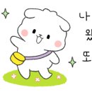 싹Dog 이미지