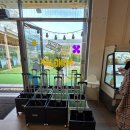 영도우리마트 온산점 | 부산 영도 날씨가 흐려도 즐거운 몽작 아이와 다녀온 후기