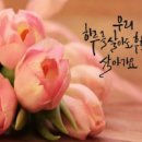 해돈공인중개사사무소 네이버블로그