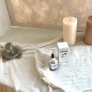 르사(LSA) 이미지