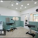 구르몽 | {부천, 강아지, 고양이, 애견미용, 추천!) 구르몽 구르몽, 세심한 애견미용 추천