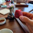 영종순환로 | 영종도 카페: 동양찻집 운북동점, 자연뷰·다과 세트 느좋 카페 추천