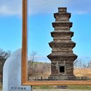 영양 산해리 오층모전석탑 | [여행] 영양 봉감모전오층석탑(영양 산해리 오층 모전석탑)