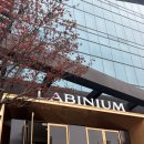 비니밥 | 라비니움 웨딩홀 하객후기｜밥비니움이잖아! 뷔페 존