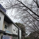 노형근린공원 이미지