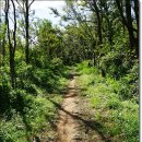 남진공원 이미지