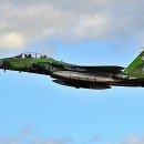 D.S 통상 | 다채로운 색상을 가진 일 항자대 가상적기 F-15J/DJ 전투기