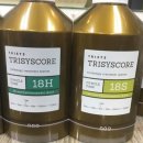 (주)트리시스 | [헤어 히어로] 트리시스코어