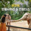 NOL ZOO | 푸꾸옥 빈펄사파리 후기, Zoo Tram 버기카 타고 기린 먹이주기까지
