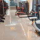 더 디짐 이미지