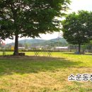 아이엠독 이미지