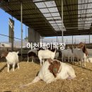 제이목장 이미지