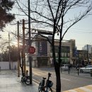 강남-133 | 강남역 콜키지프리 중식당 표량, 룸에서 프라이빗하게 메뉴 7가지 먹은 후기