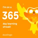 진참치신음점 | 바쁘다 바빠 3월