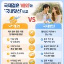 국제국내결혼상담 | {3탄} 국제결혼, 왜 해외보다 국내 맞선이 더 현실적일까요?