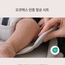 알로(Allo) 이미지