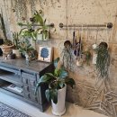 모멘토in애월 이미지