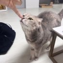 행주산정 | 포천 더세븐글램핑 솔직 후기! 불멍·바베큐까지 완벽한 가을캠핑