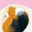 내강아지 이미지