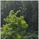 영서로4 이미지