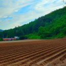 대기리마을회관 이미지